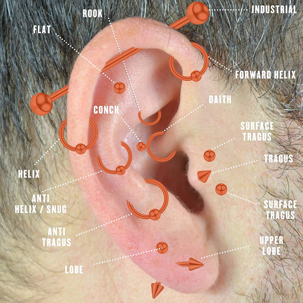 Stainless Steel Piercing Kit B - đánh giá và giá Body Jewelry Septum